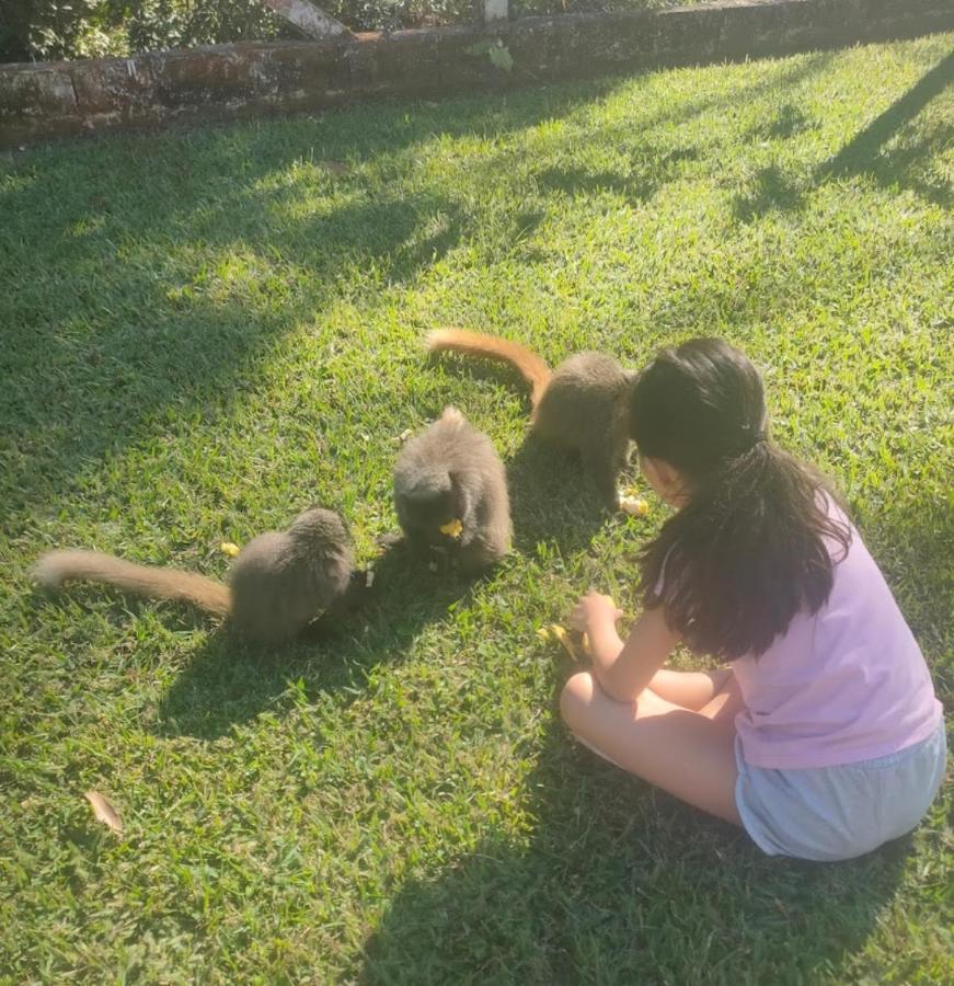 Willa Chacara Sonho Meu Pinhalzinho  Zewnętrze zdjęcie
